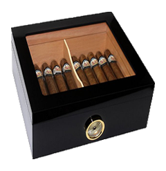 Panda Envia – Aqui você encontra produtos incriveis