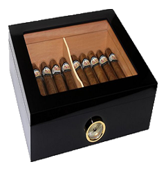 Panda Envia – Aqui você encontra produtos incriveis